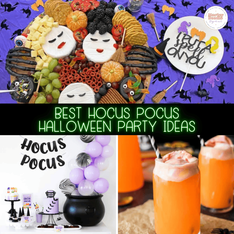 BEST Hocus Pocus Halloween Party Ideas - Food Decor & More! - Marley ...