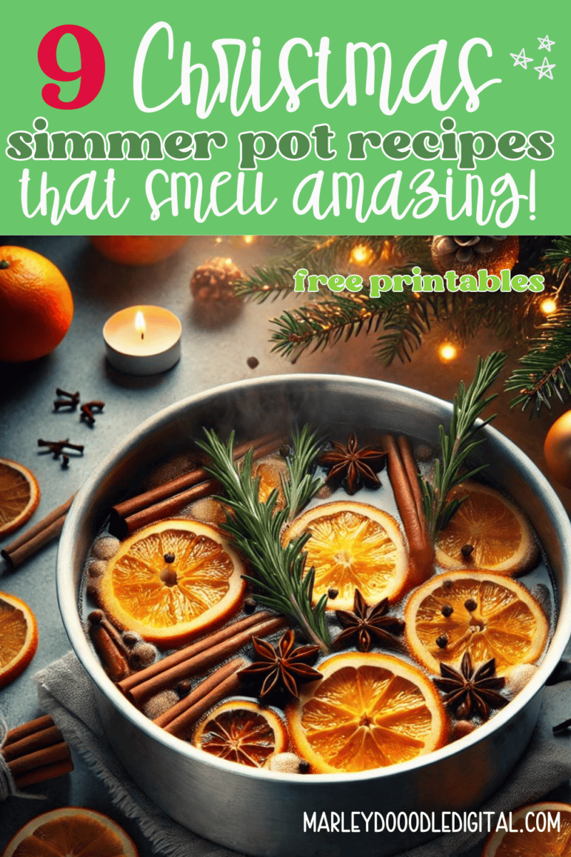 9 Christmas Simmer Pot Recipes That Smell Amazing - Free Printables ...