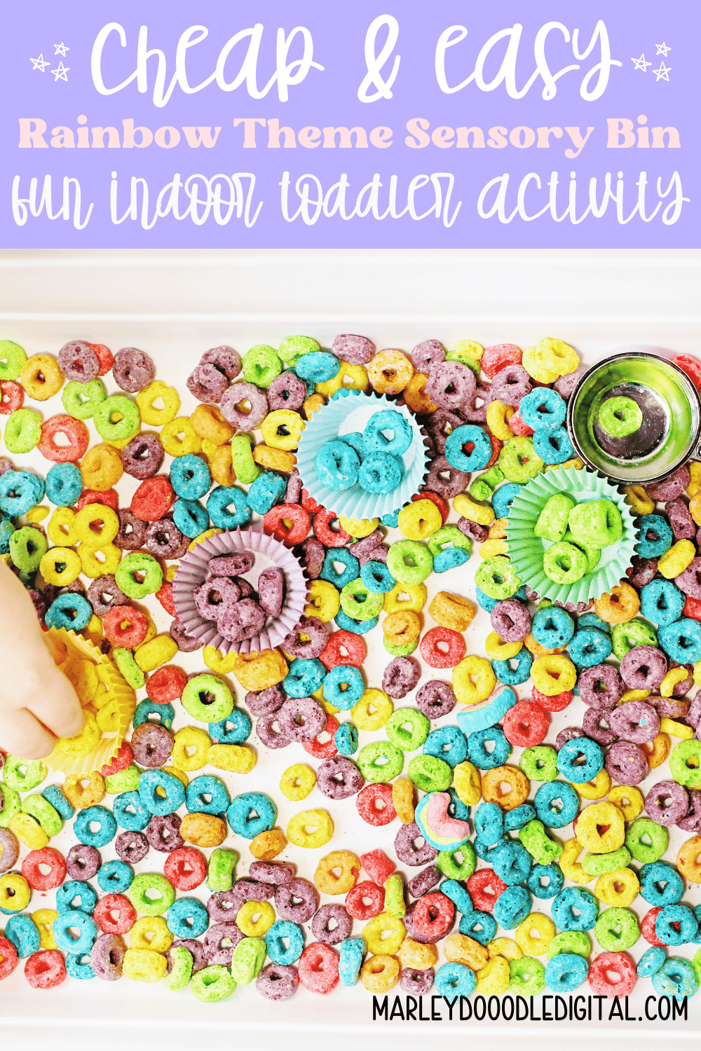 Rainbow Color Sorting Sensory Bin for Toddlers - Marley Doodle Digital