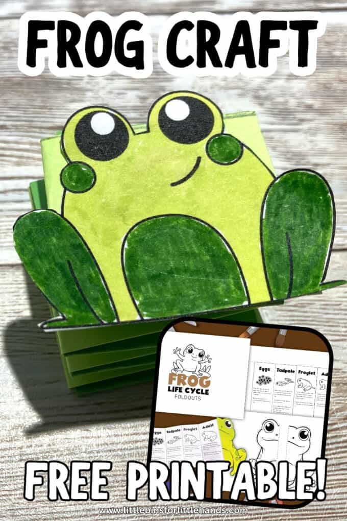 Spring Frog Paper Craft