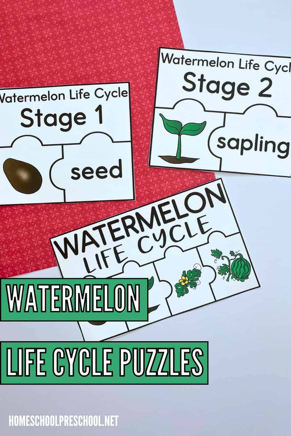 Watermelon Life Cycle