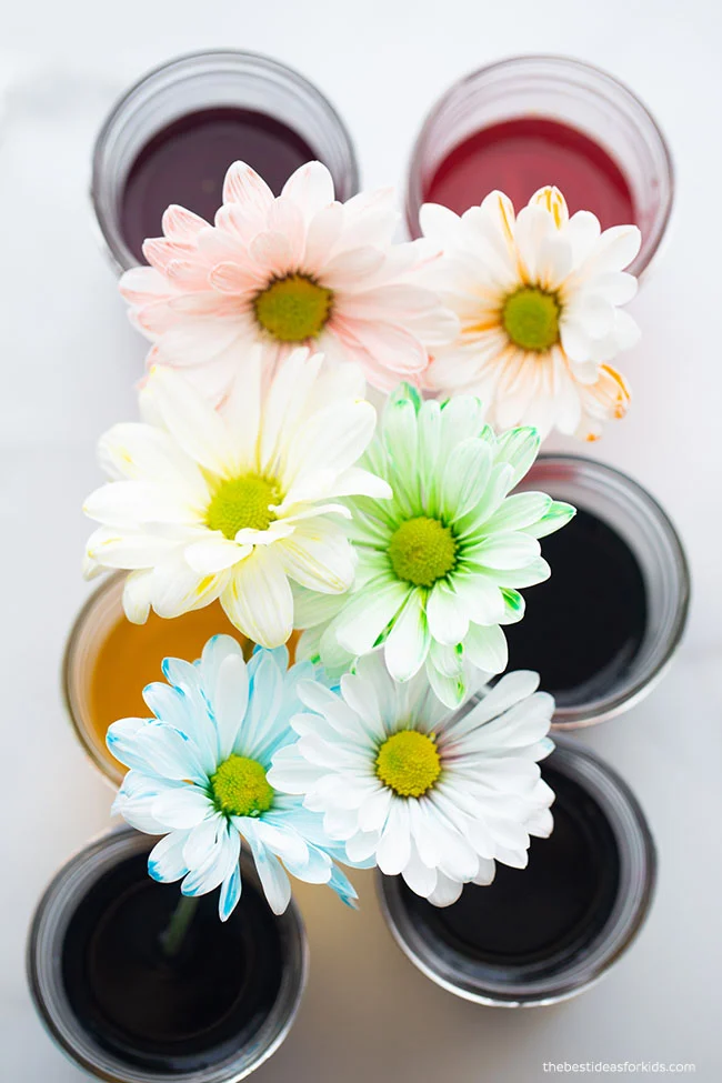 Color Changing Flowers