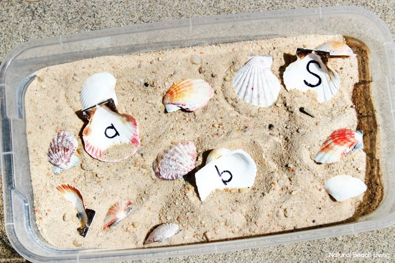 Letter Matching Seashell Sensory Bin