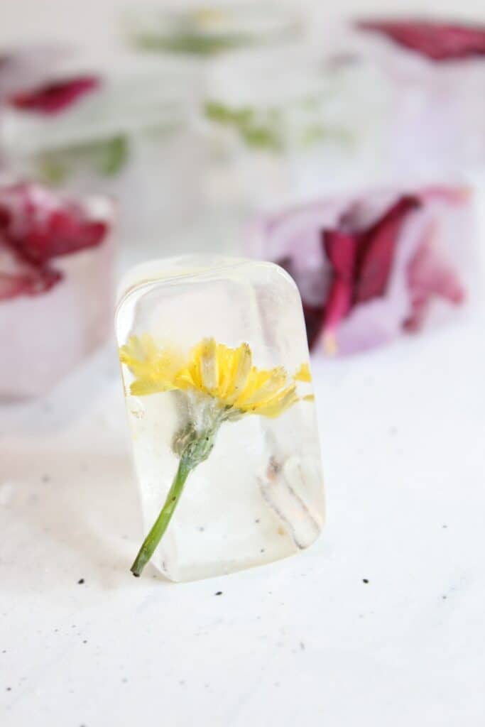 Nature Ice Sensory Play