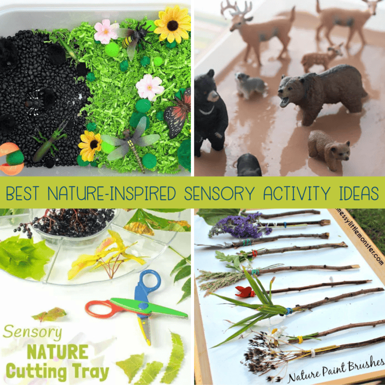 23+ Fun Nature-Inspired Sensory Activities for Kids