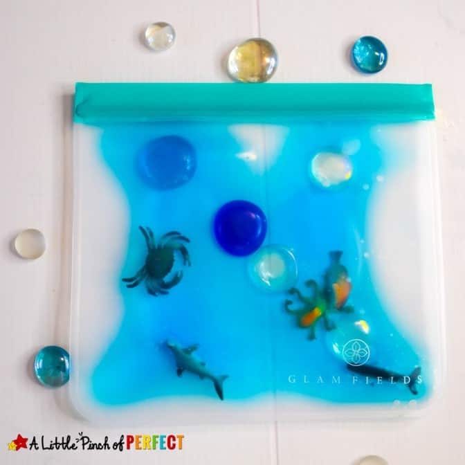 Ocean Sensory Bag