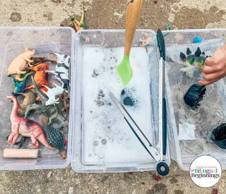 Sensory Animal Washing Station