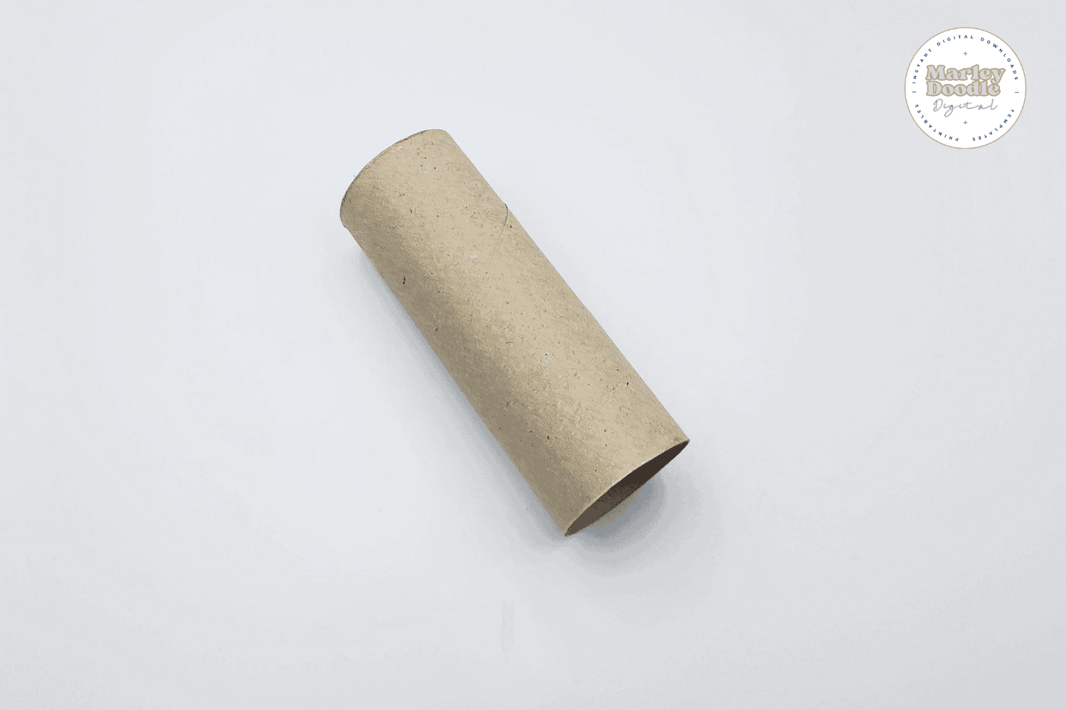 An empty toilet paper roll.