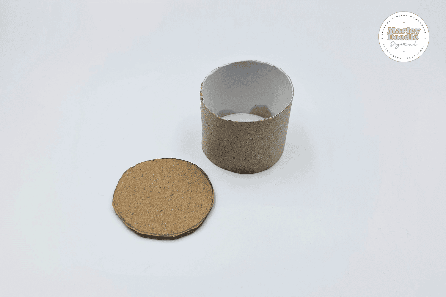 Empty toilet paper roll and cutout for easy plant craft.