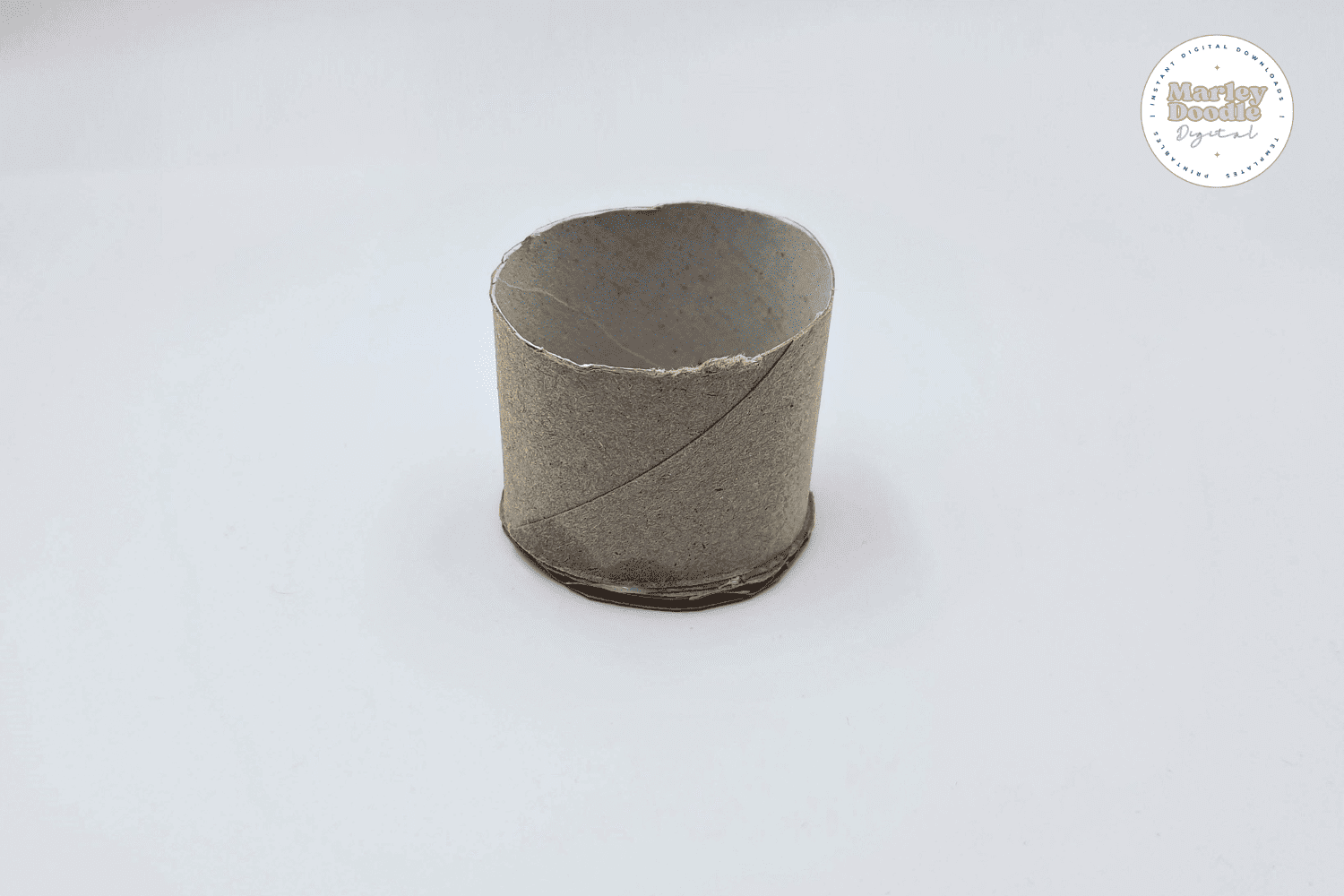 Assembled toilet paper roll pot for simple plant craft.