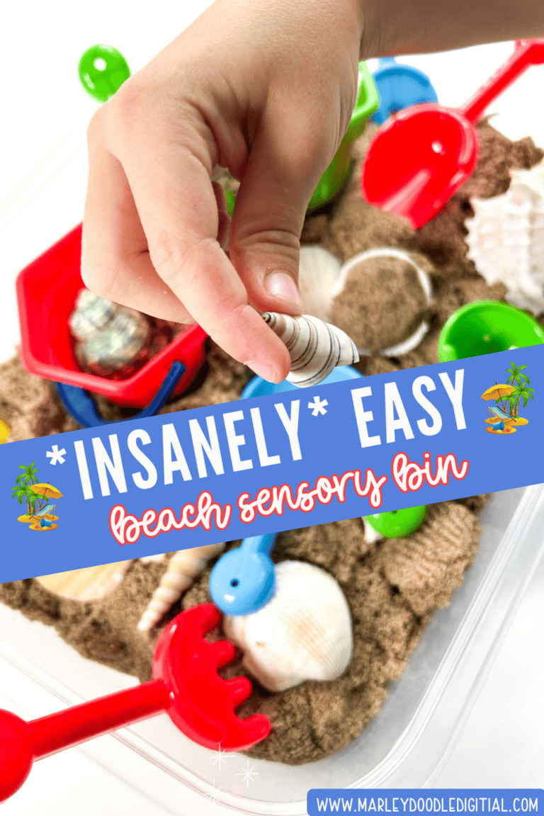 Easy DIY Beach Sensory Bin for Kids - Marley Doodle Digital