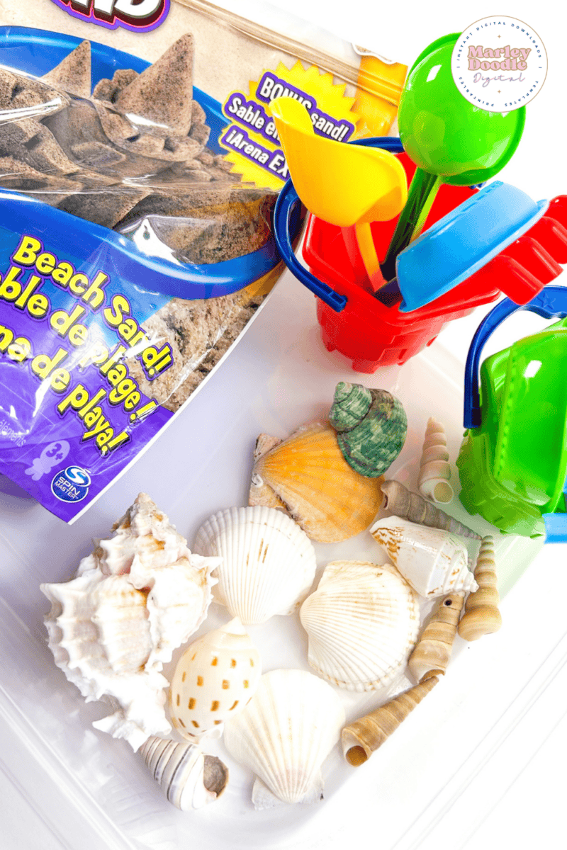 Easy DIY Beach Sensory Bin for Kids - Marley Doodle Digital