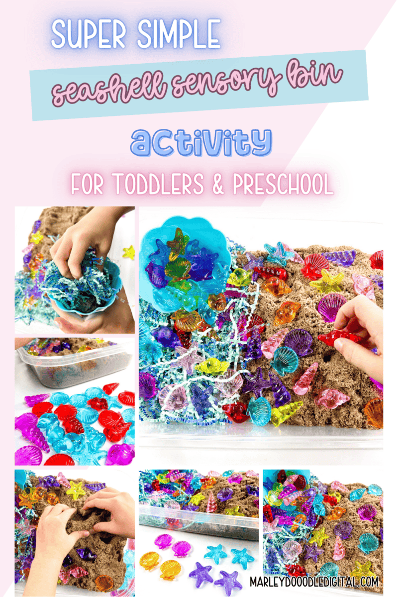Fun Seashell Sensory Bin for Preschoolers & Toddlers (Great for Ocean ...