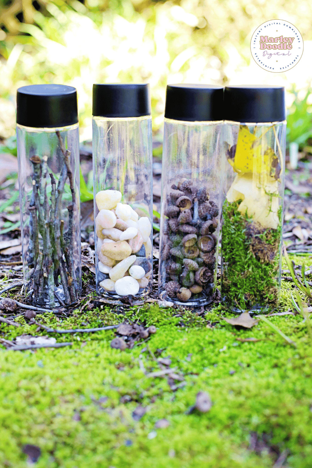 Nature sound sensory bottles filled with sticks, stones, acorns, and moss.