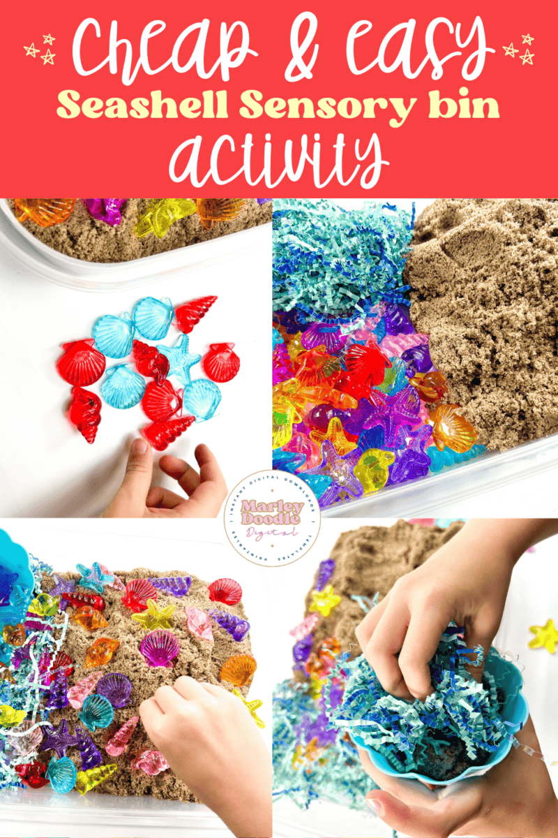 Fun Seashell Sensory Bin for Preschoolers & Toddlers (Great for Ocean ...