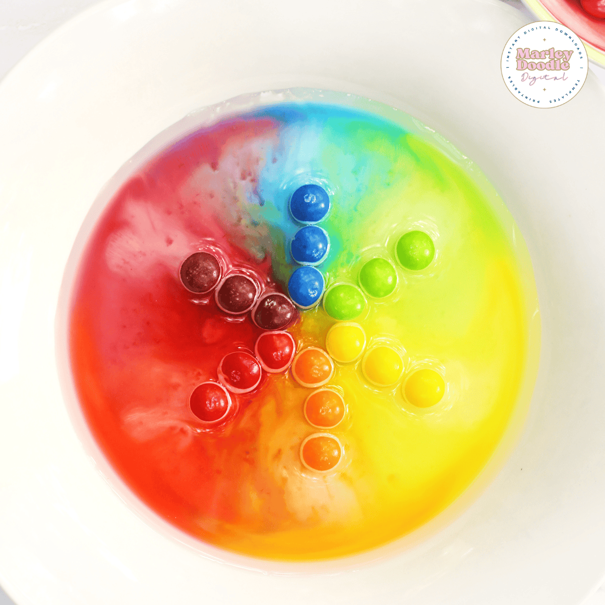 Rainbow Color Wheel Skittles Experiment for Kids