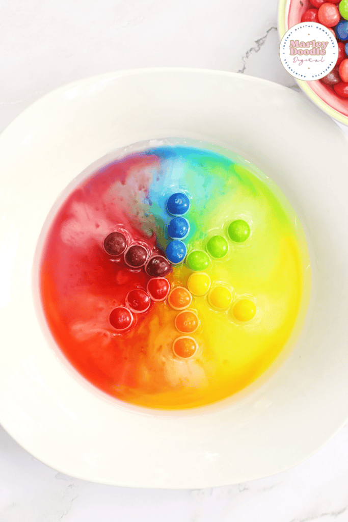 Completed color wheel Skittles experiment with vibrant rainbow pattern