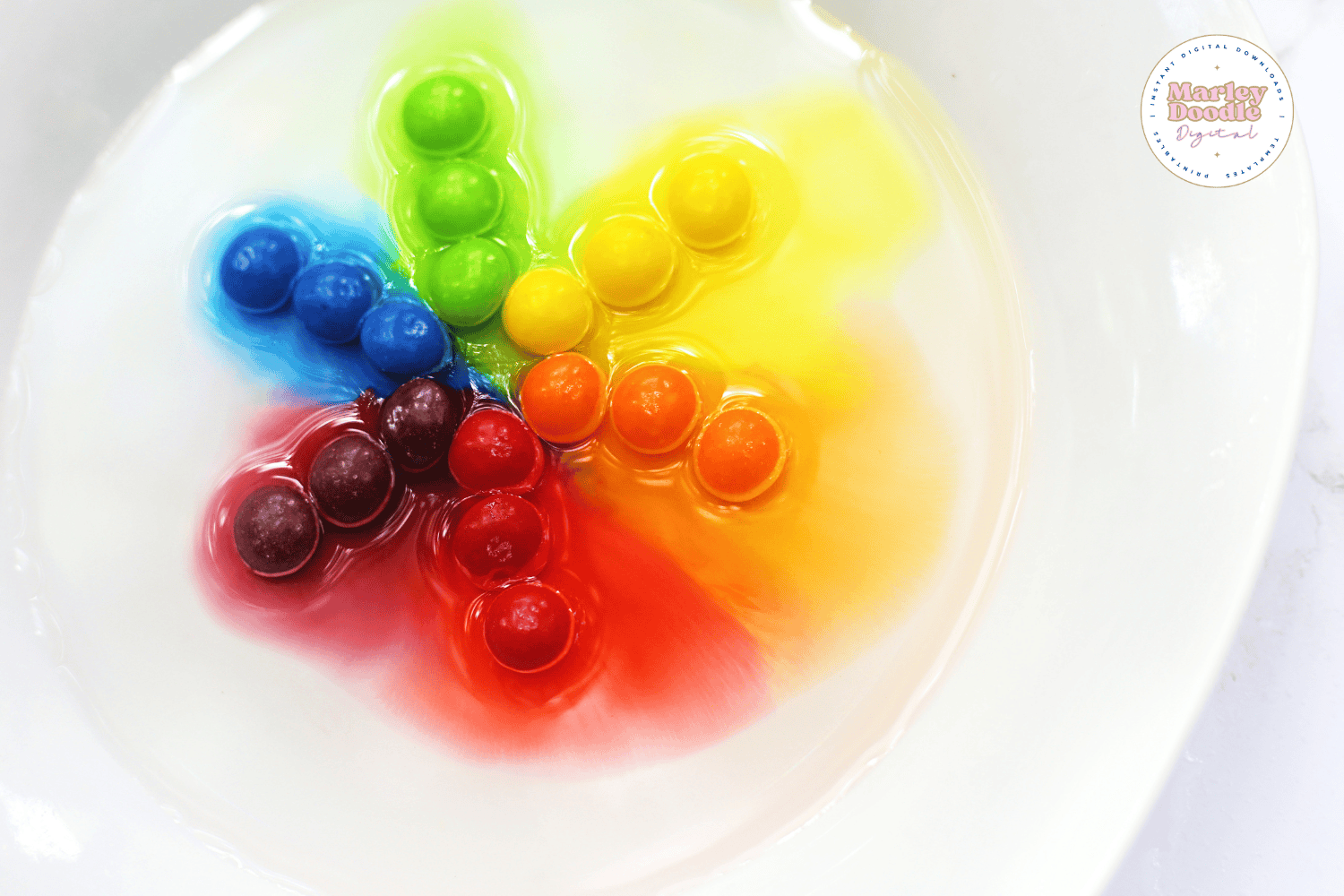 Colors beginning to spread in Skittles color wheel experiment