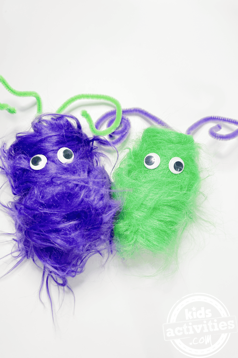 Fuzzy Monsters Made From Toilet Paper Rolls