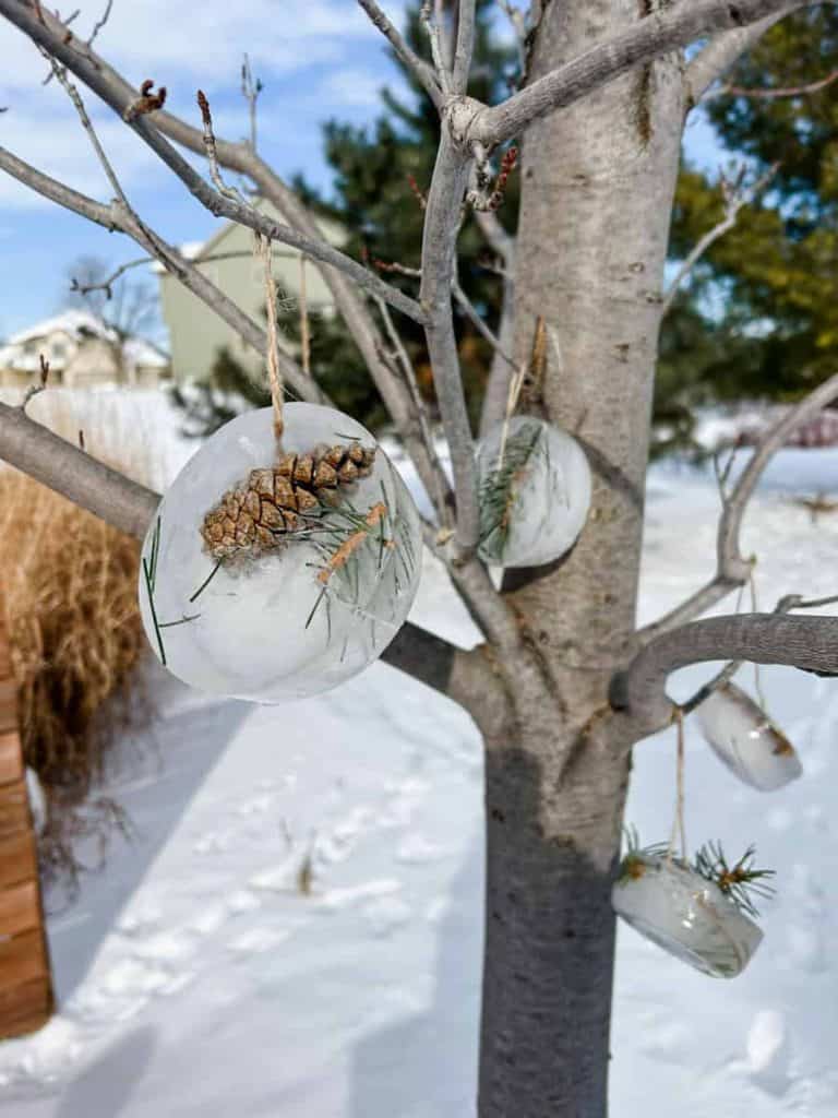 Nature Ice Ornaments
