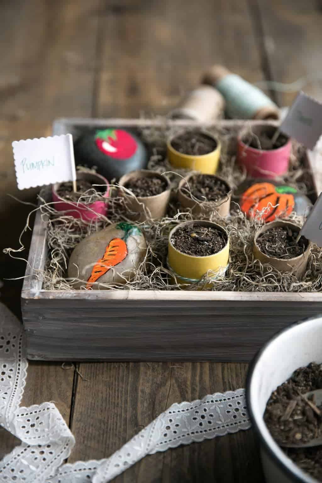 Toilet Paper Roll Seedling Pots
