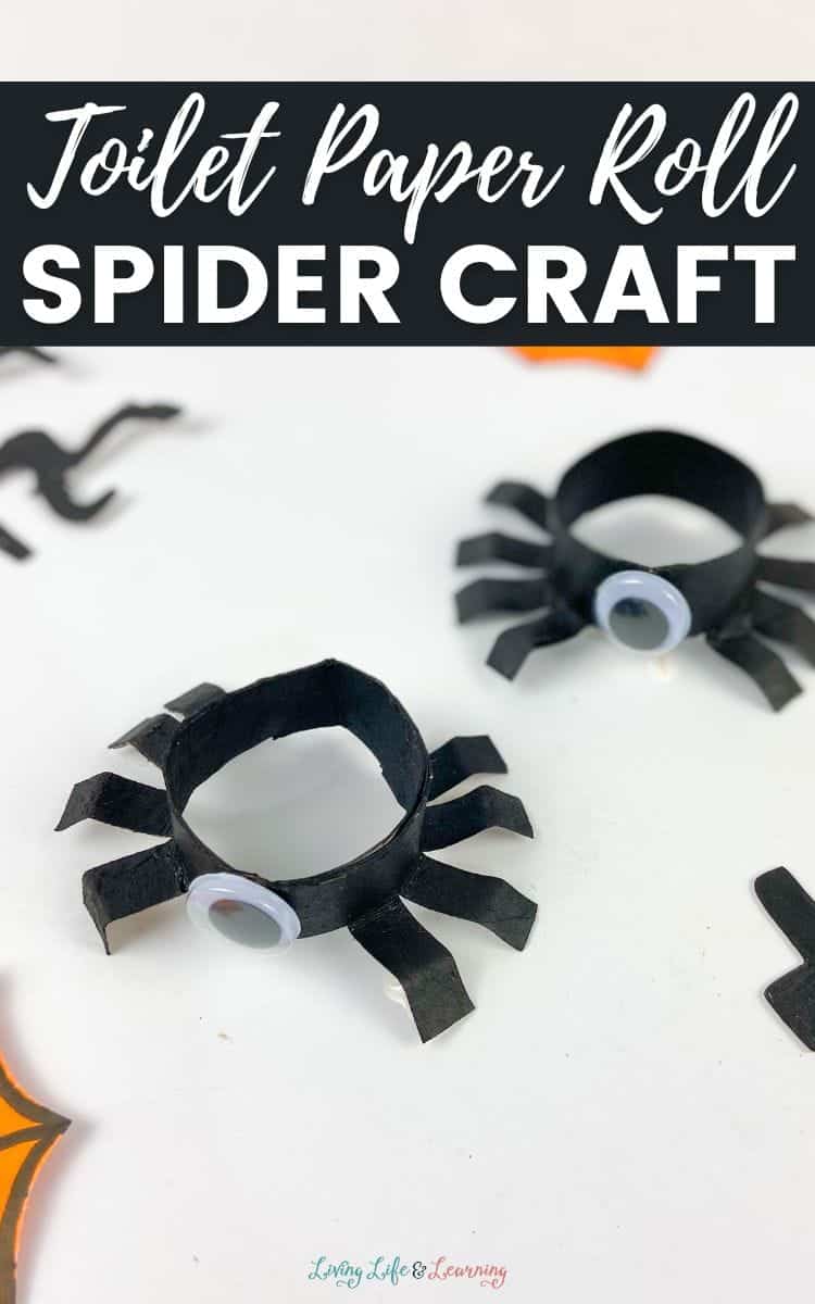 Toilet Paper Roll Spider Craft