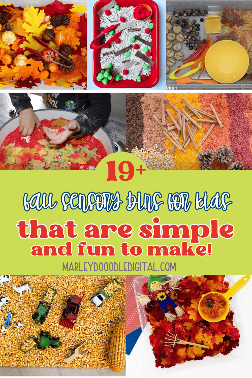21+ Easy DIY Fall Sensory Bin Ideas (You Have Got to See!) - Marley ...