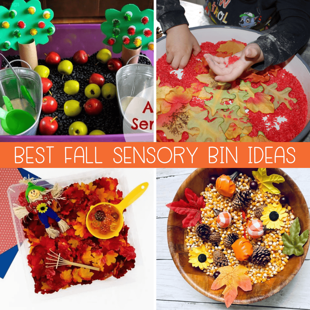 21+ Easy DIY Fall Sensory Bin Ideas (You Have Got to See!)