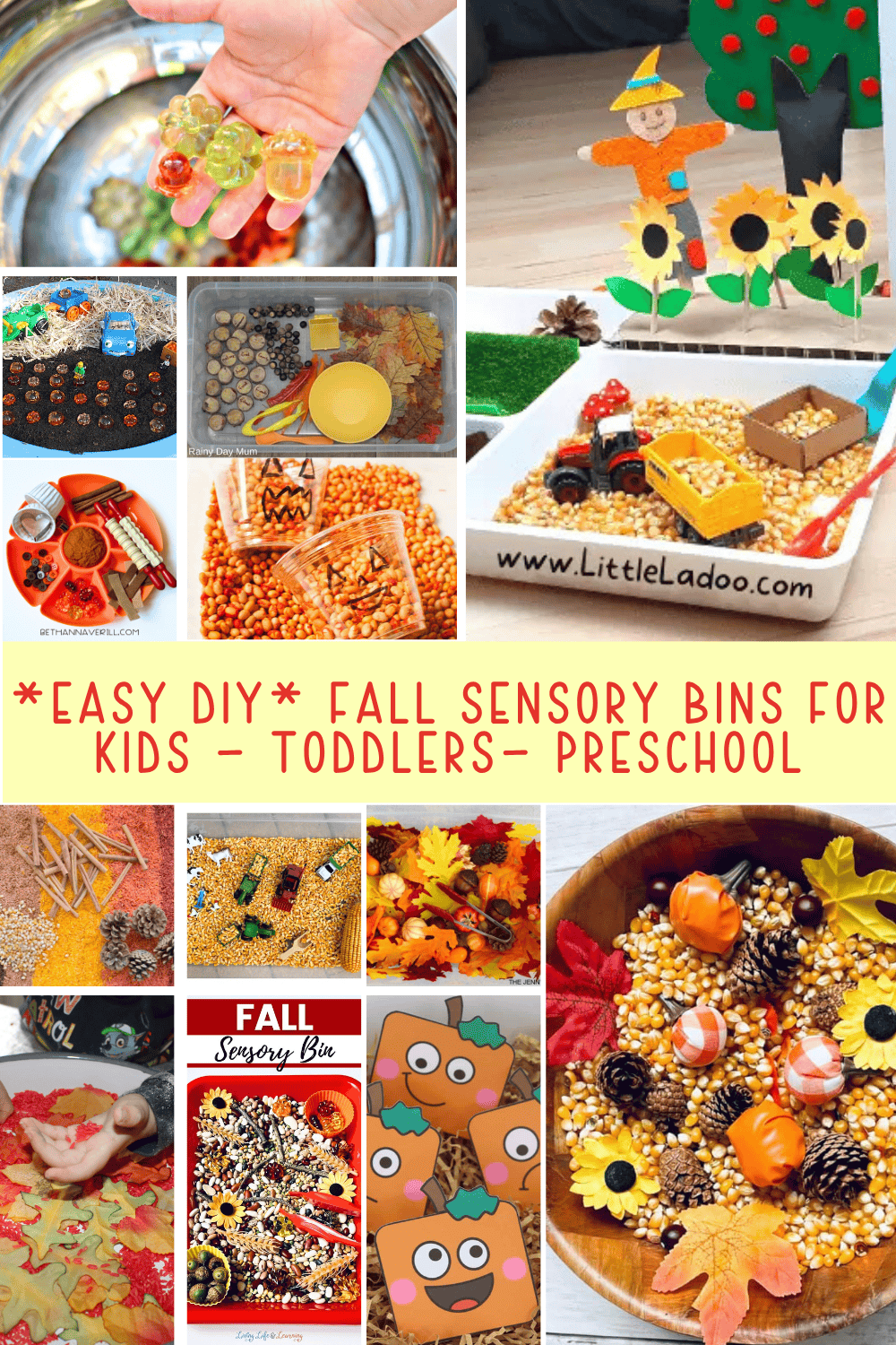 21+ Easy DIY Fall Sensory Bin Ideas (You Have Got to See!) - Marley ...