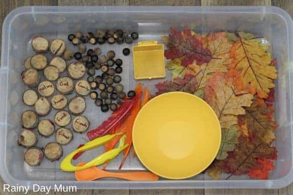 Thanksgiving and Fall Sensory Bin
