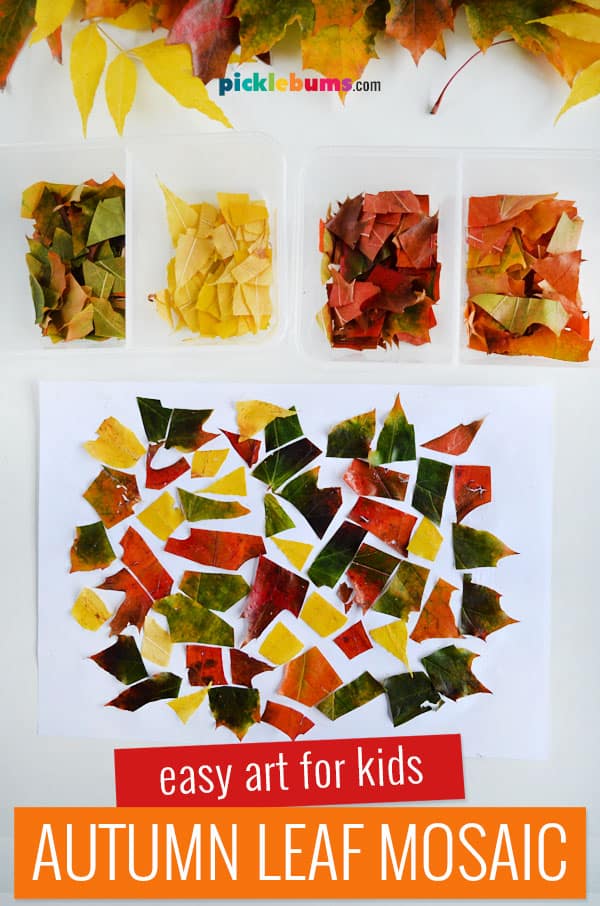 Autumn Leaf Mosaic Collage