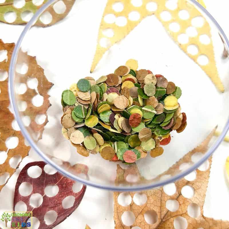 DIY Autumn Leaf Confetti