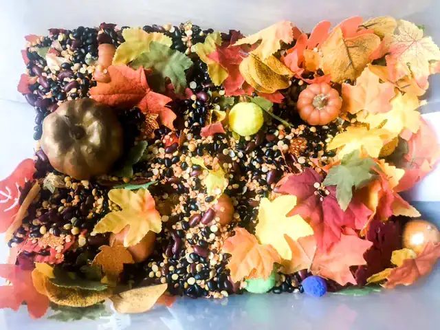 Easy Fall Sensory Bin