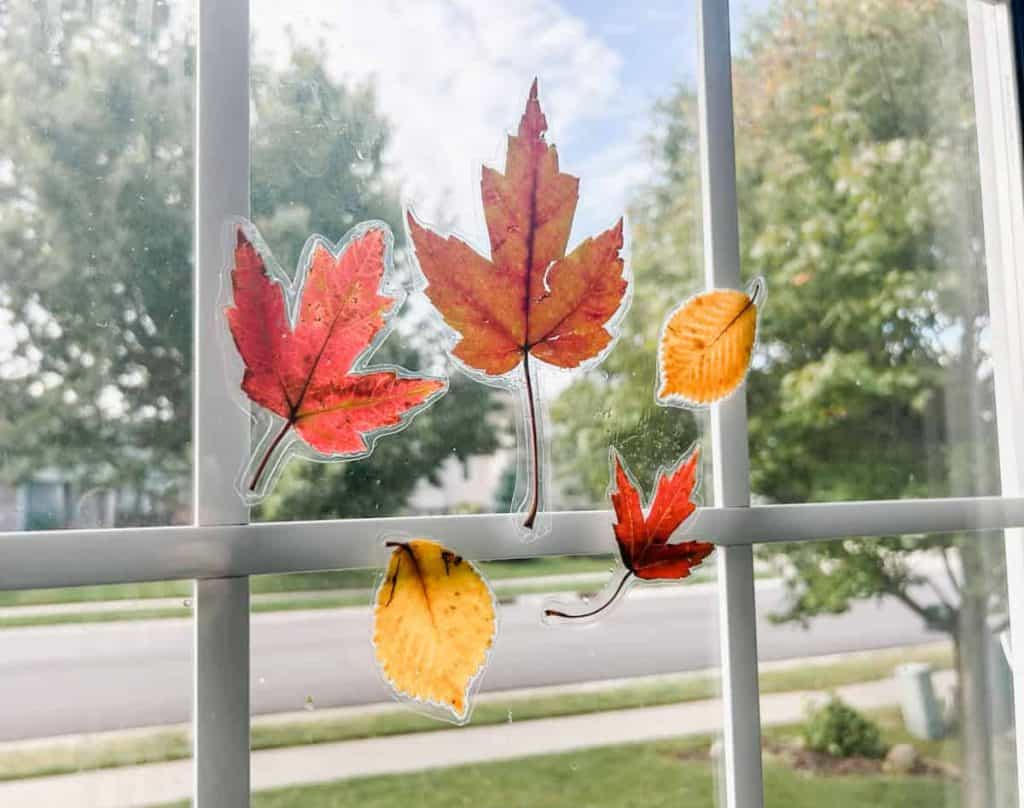Fall Leaf DIY Window Clings