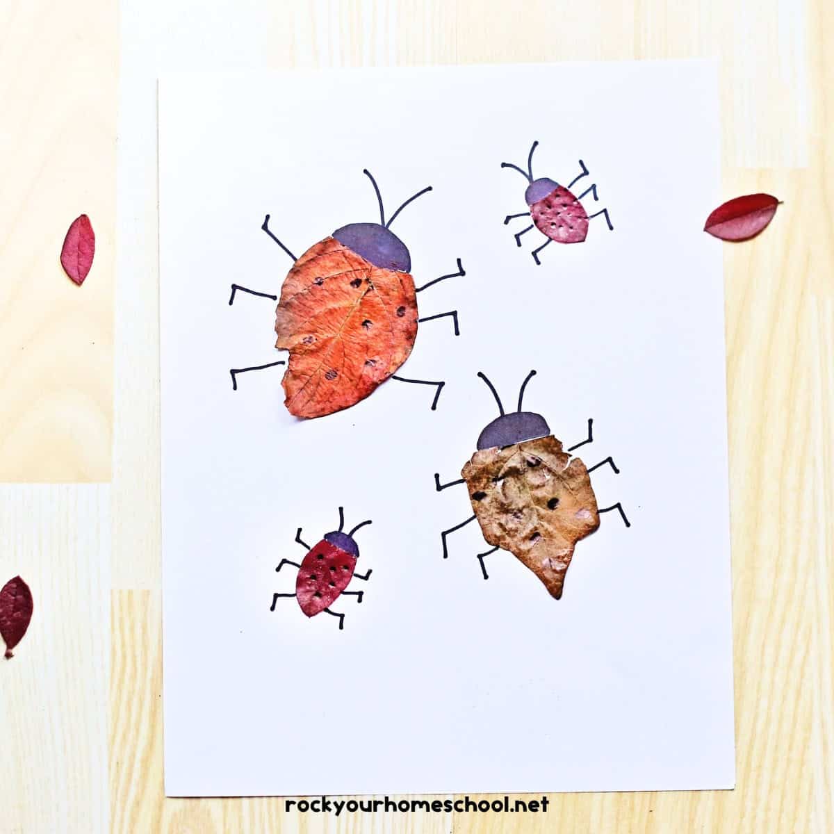 Leaf Ladybug Craft