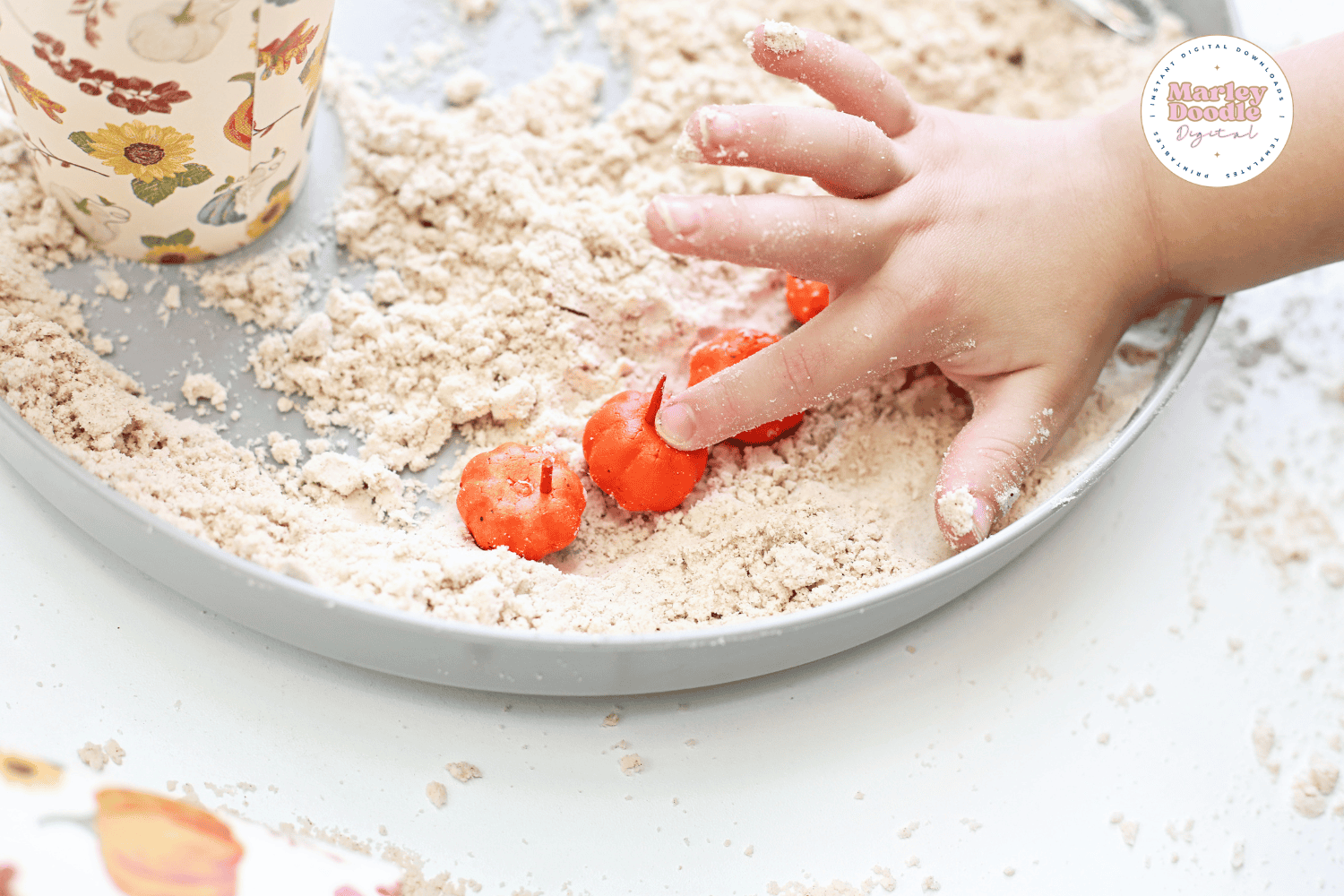 Toddler hand playing with mini pumpkins in sensory bin