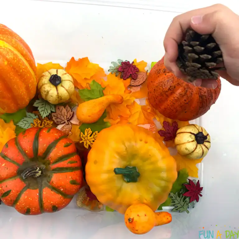 Simple Pumpkin Sensory Bin