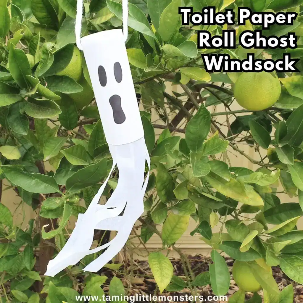 Toilet Paper Roll Ghost Windsock Craft