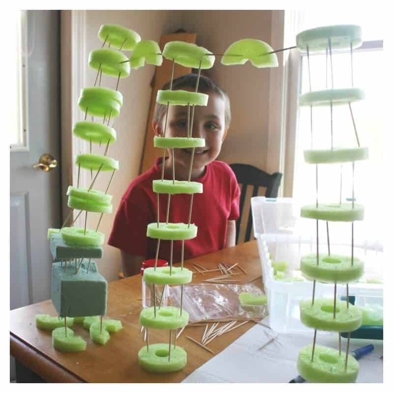 Building Pool Noodle Structures With Toothpicks