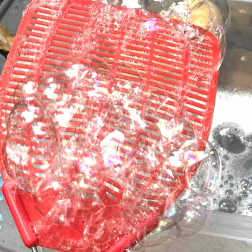 Fly Swatter Bubbles