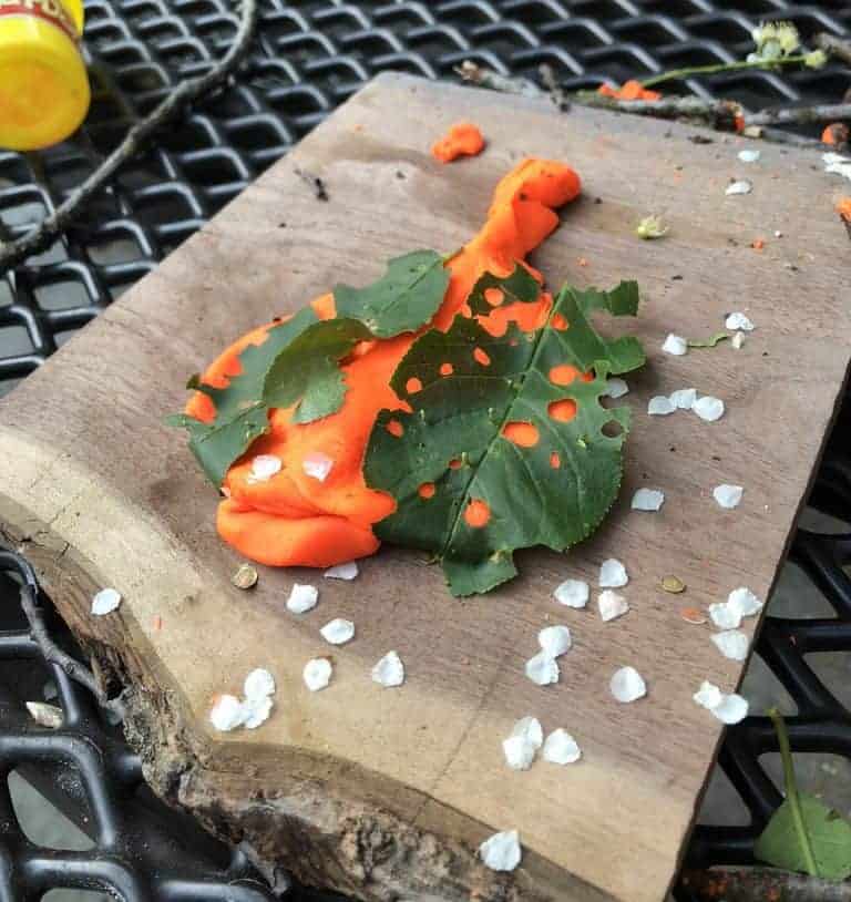 Play Doh Crafts with Items from Nature