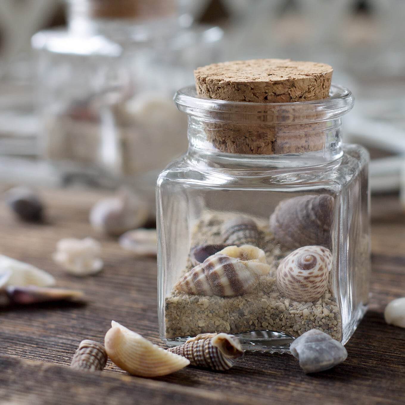Beach Keepsake Craft by Fireflies & Mud Pies