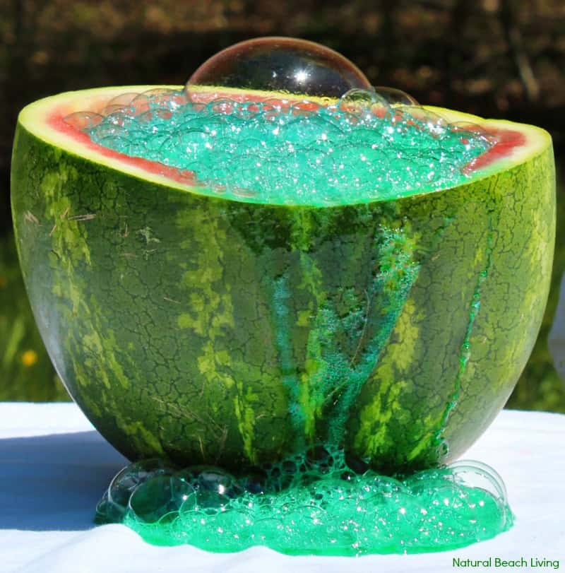 Erupting Watermelon Science Activity by Natural Beach Living