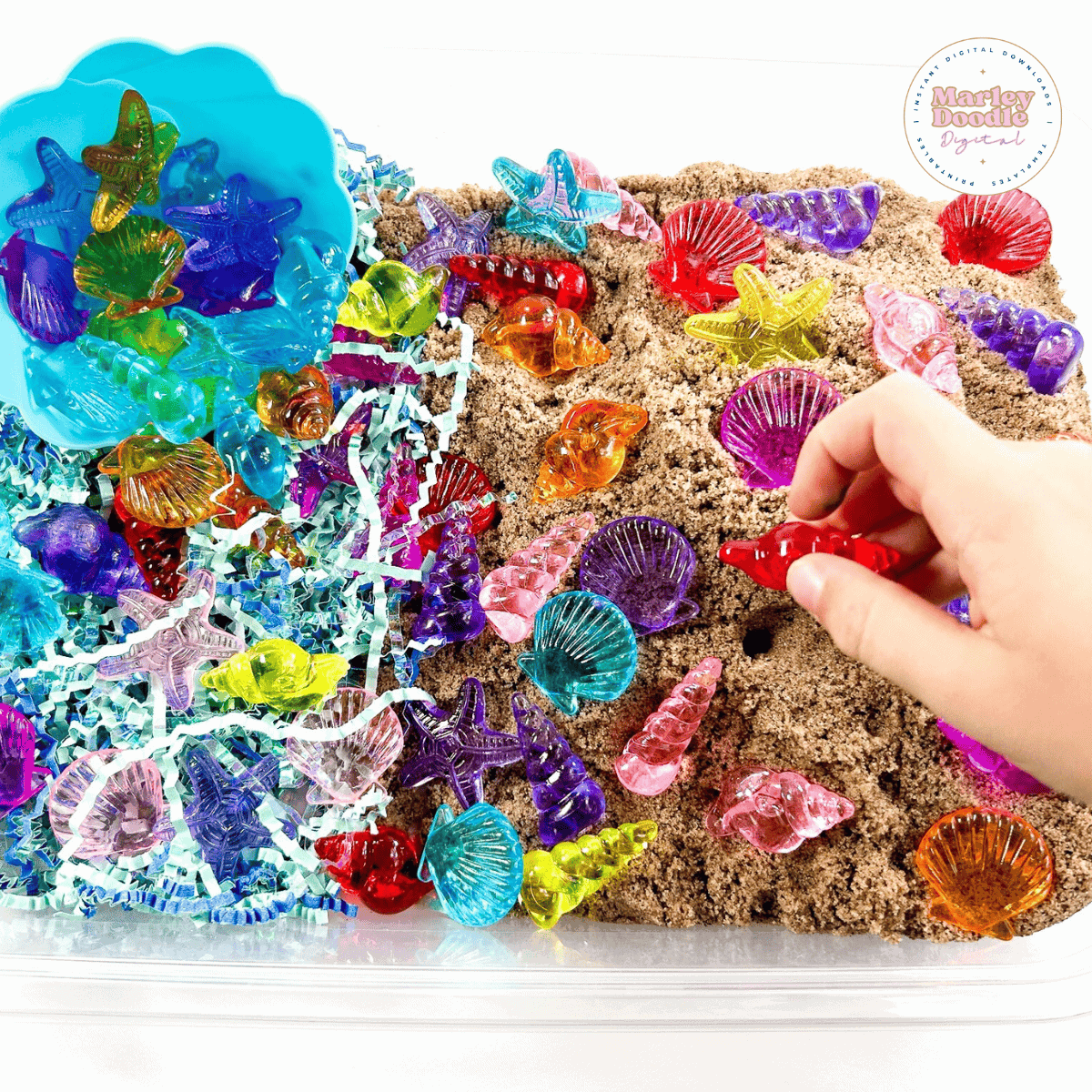 Fun Seashell Sensory Bin for Preschoolers & Toddlers (Great for Ocean Themes)