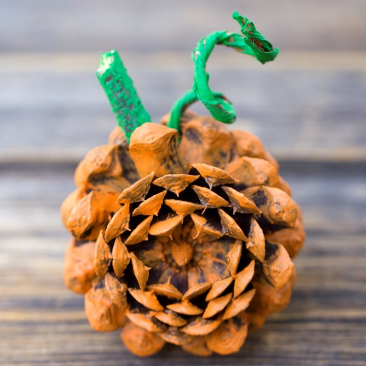 Pine Cone Pumpkin Craft by Fireflies & Mud Pies